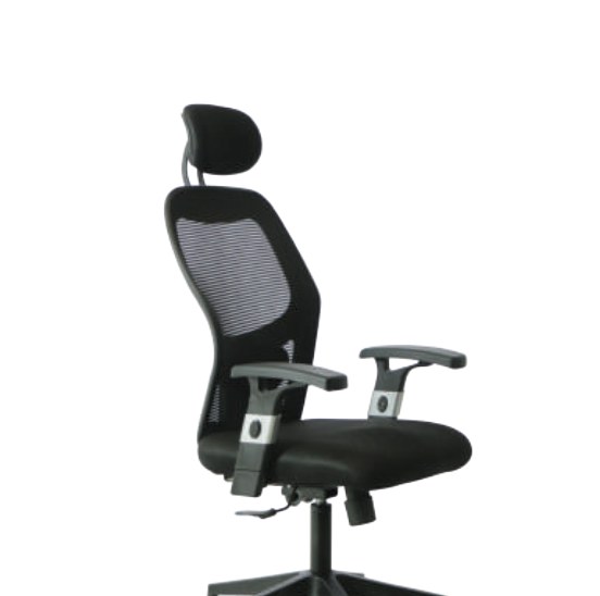 Elevon